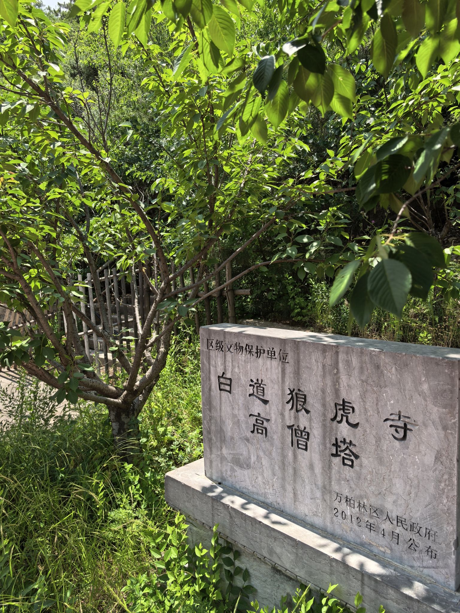 白道狼虎寺高僧塔实景照片