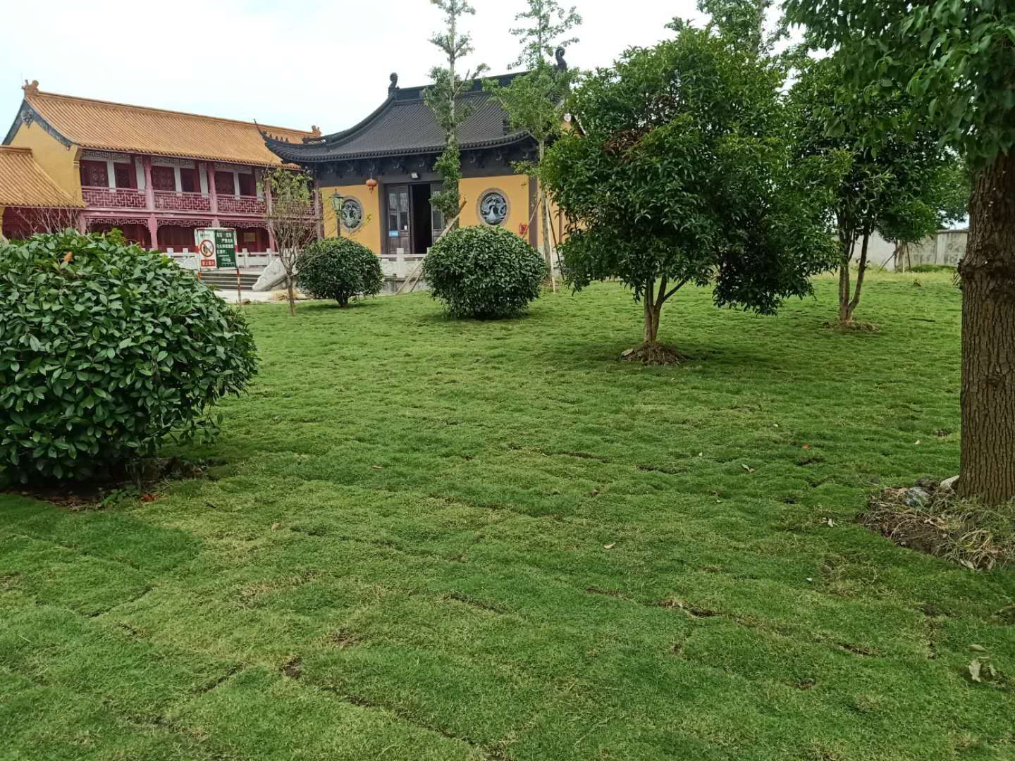嘉兴市永昌寺实景照片