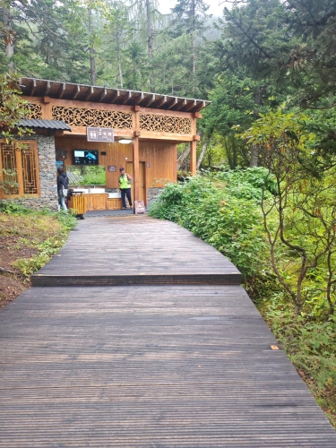盆景池