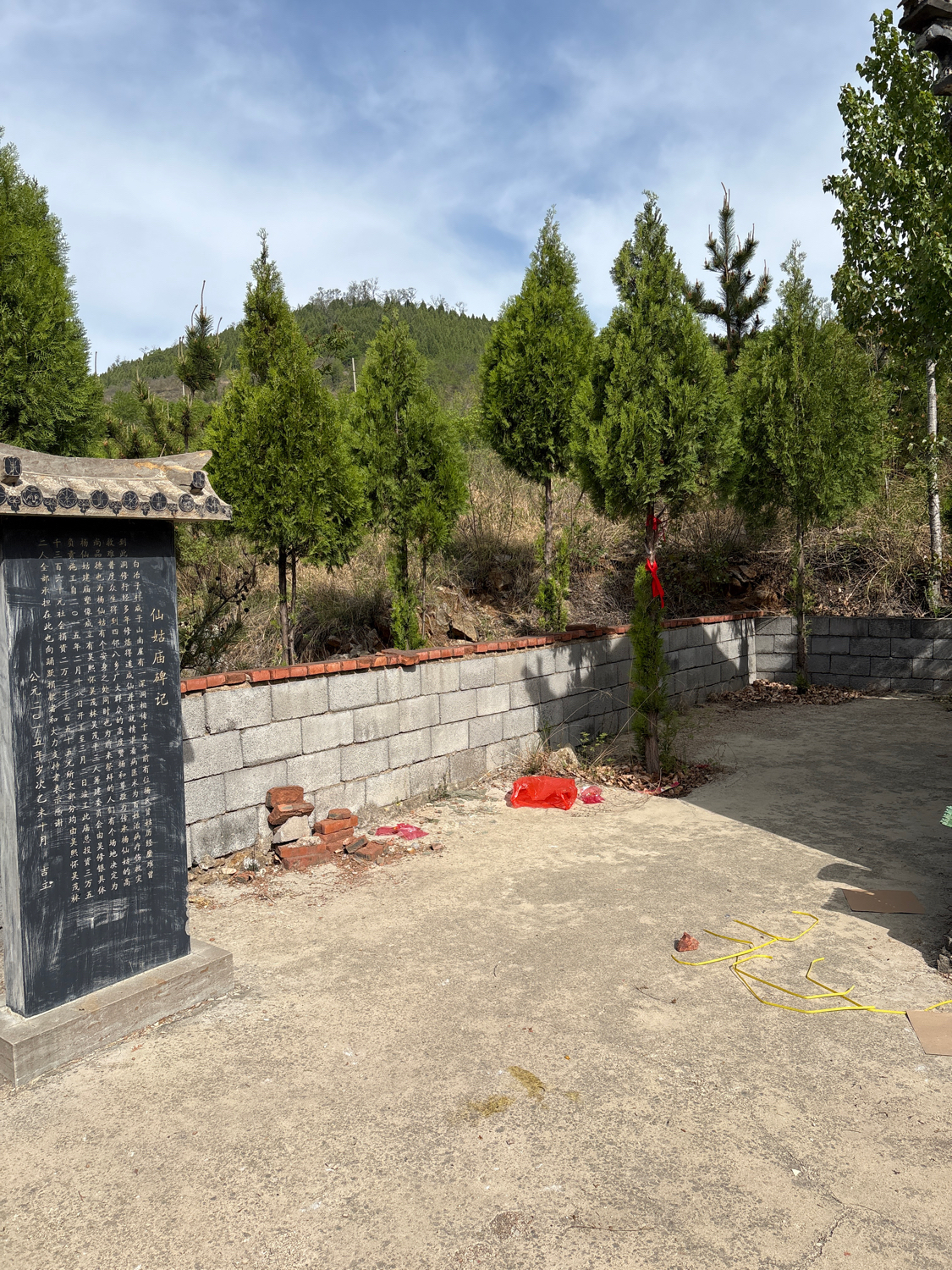 杨仙姑庙实景照片