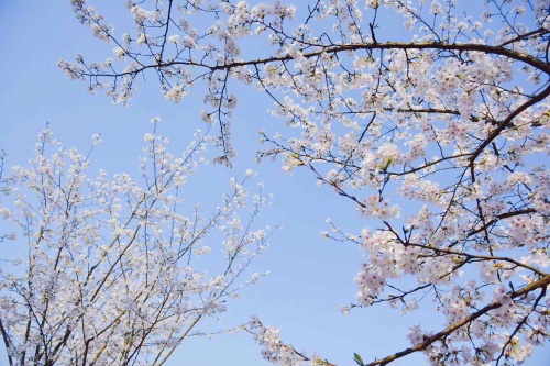 On-site photo 11 of 太子湾公园