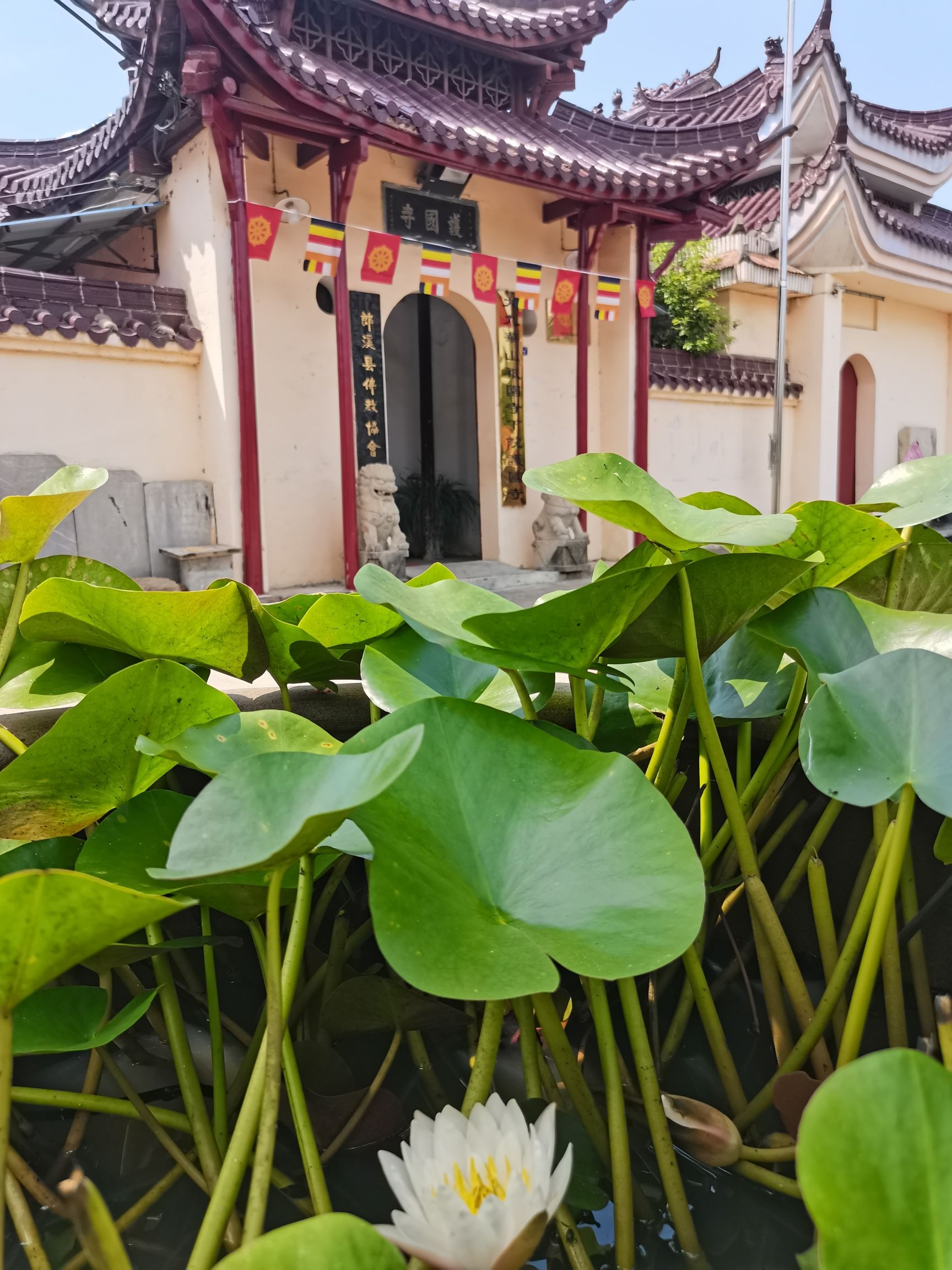 安徽梅渚小九华护国寺实景照片