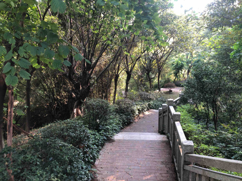 云山公园旅行图片 1