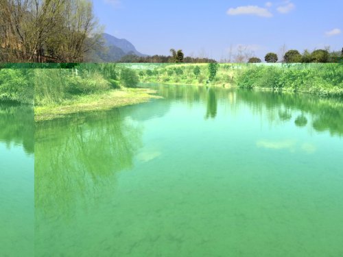 湄潭桃花江曹家宴坎旅行图片