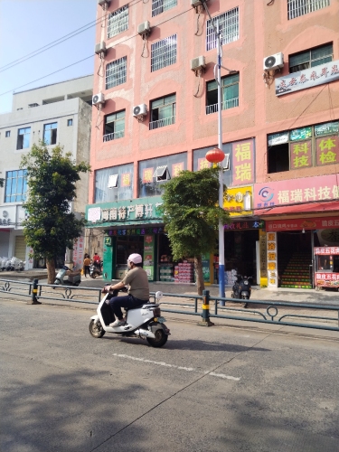 春光海南特产博轩专营店(澄江北路店)