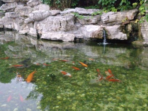 水木柴门旅行图片 3