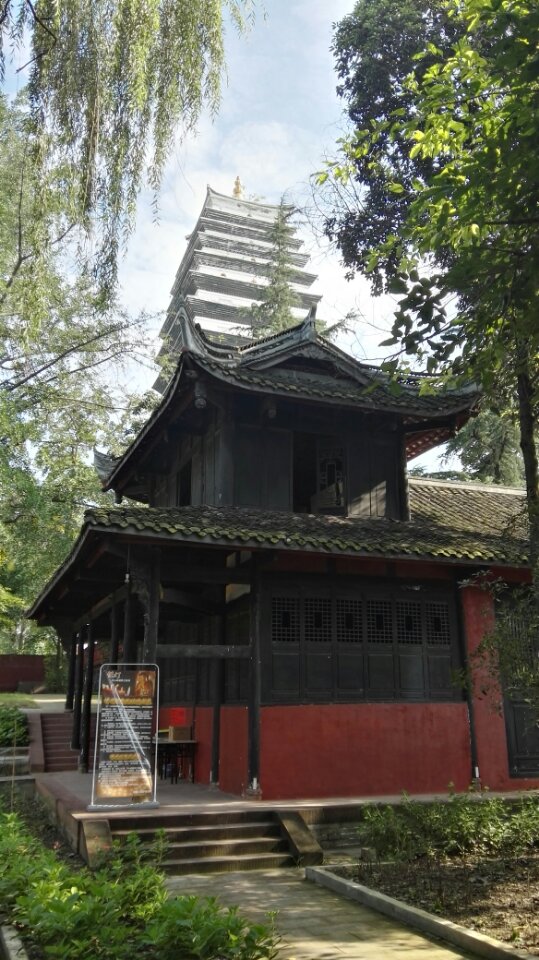 龙护舍利塔实景照片