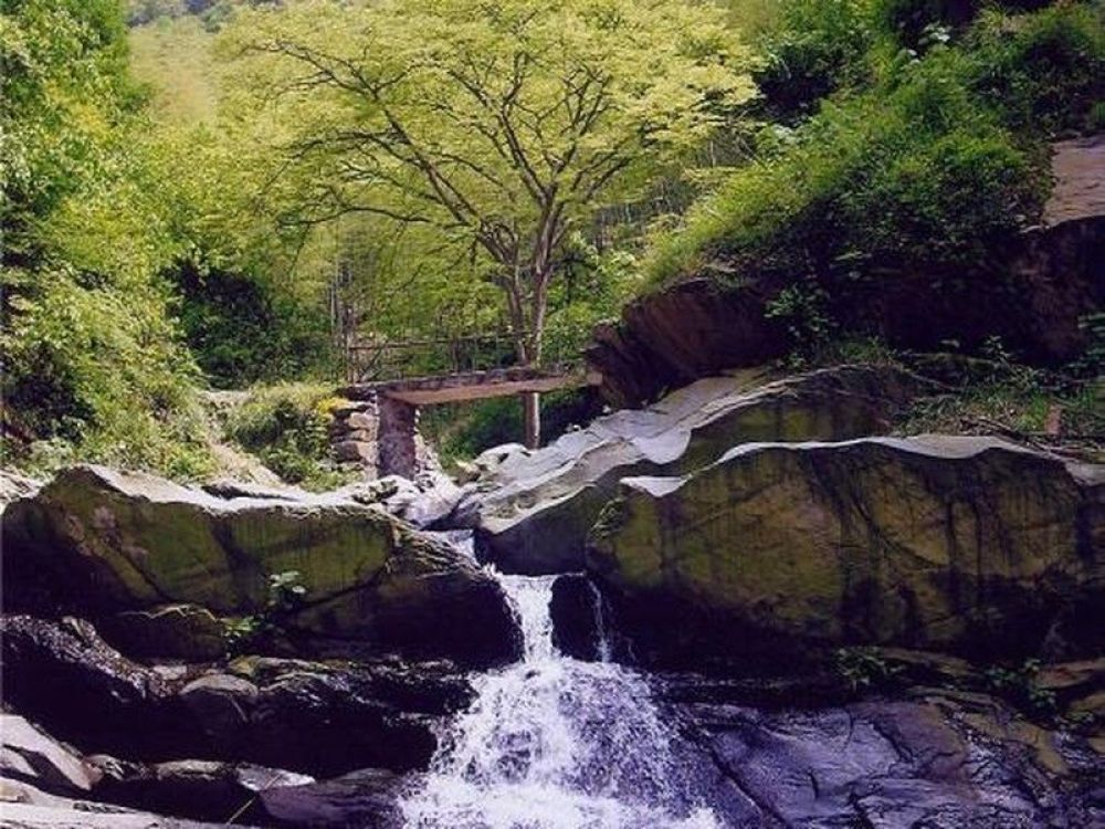 五尖山森林生态文化旅游区景点图片