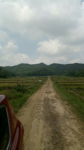 青云塔旅行图片 1