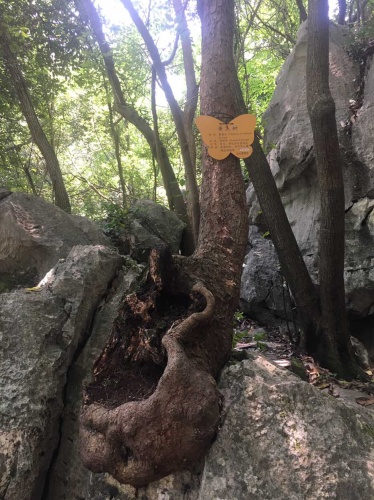 玉女山庄景区旅行图片 3