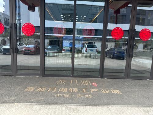 泰顺月湖轻工产业城实景图
