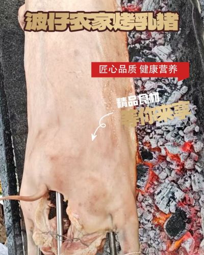 波仔农家烤蒸乳猪