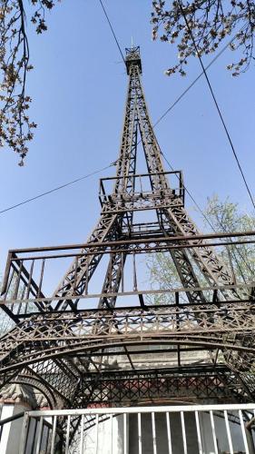 风情园旅行图片 2