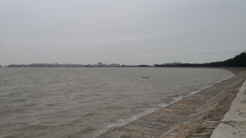 泉州湾河口湿地旅行图片 3