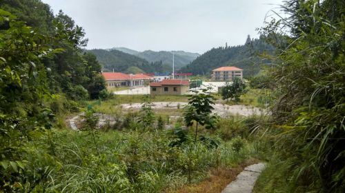 文峰塔景区旅行图片 2