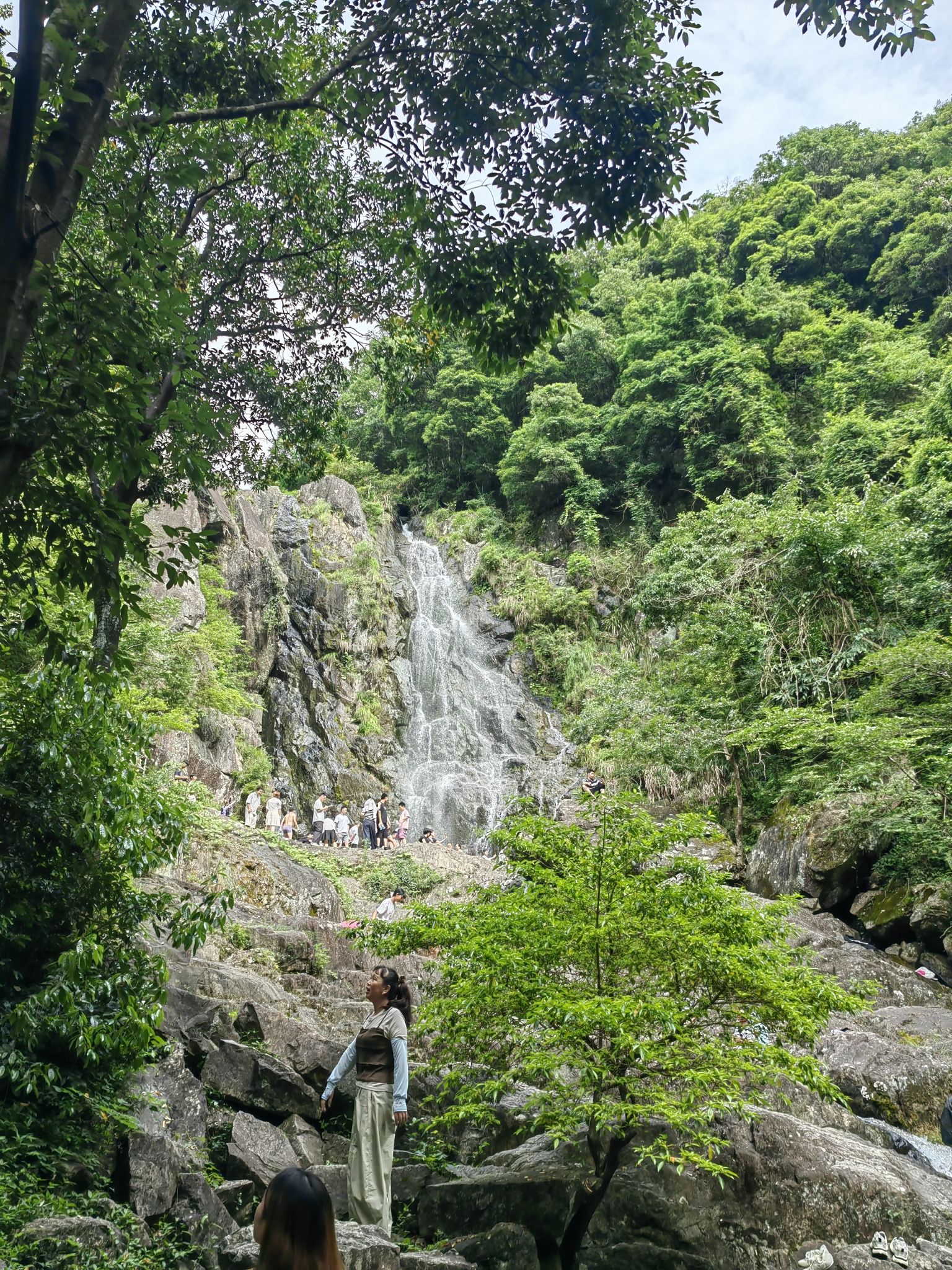 江厦森林公园