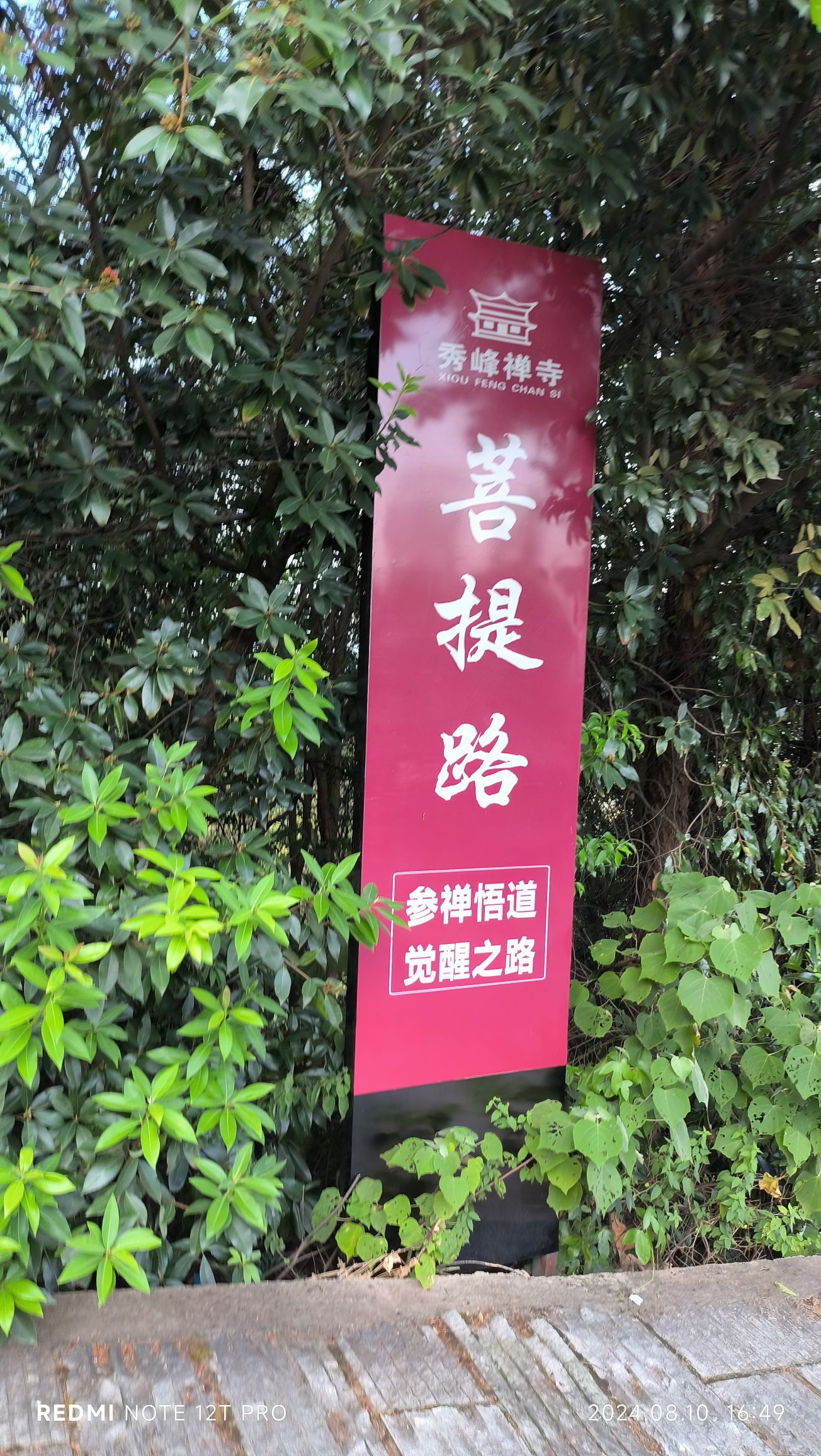 秀峰禅寺实景照片