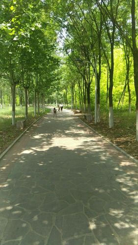 清凉湾湿地公园旅行图片 2