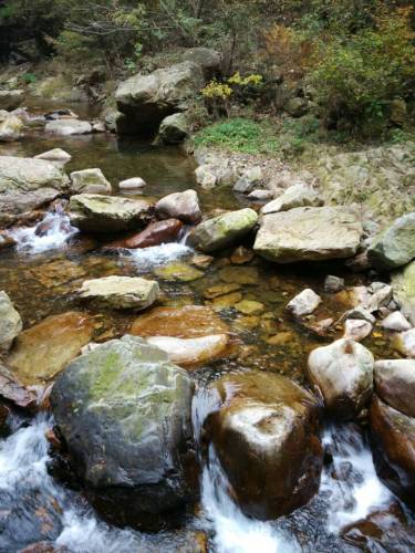 九龙潭青松岭峡谷风景区旅行图片 1