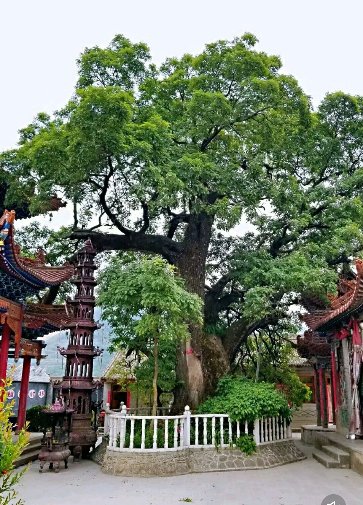 玄龙山庙实景照片