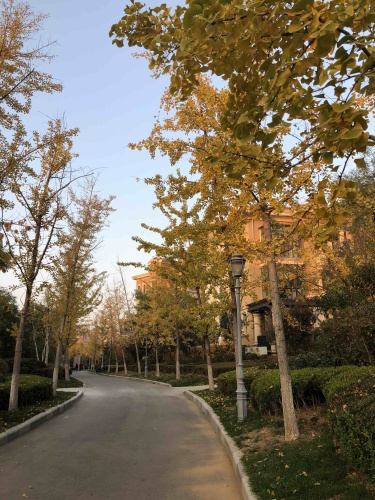 明珠公园旅行图片 1