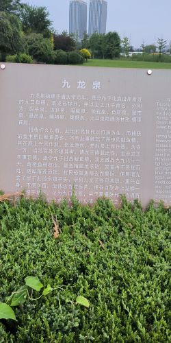 九龙泉