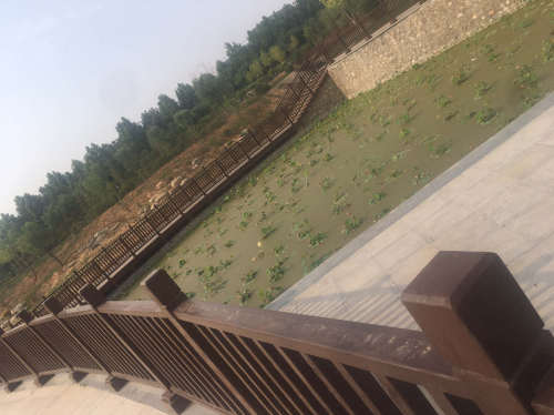 邯郸郊野公园西园旅行图片 1