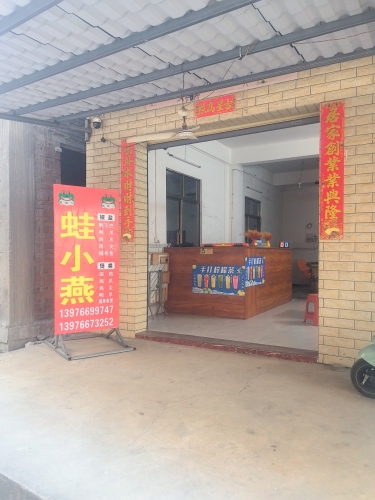 蛙小燕