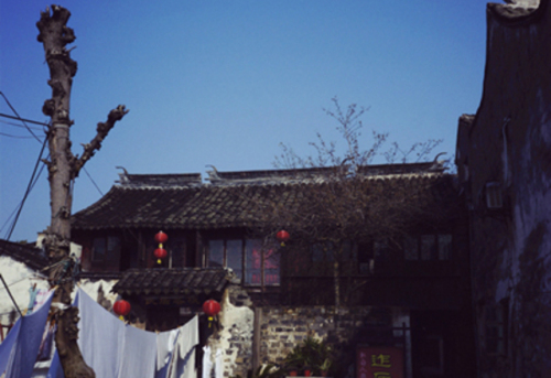 南湖秋月园旅行图片 2