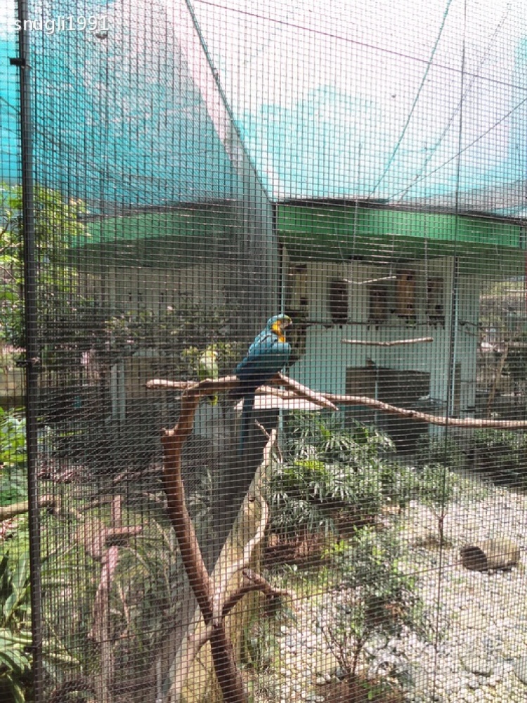 九龙公园景点图片