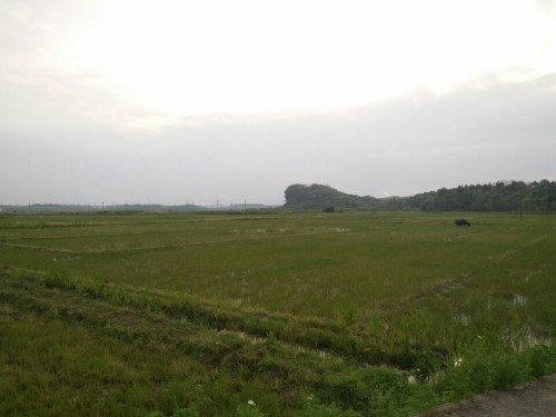 万魁塔旅行图片 2