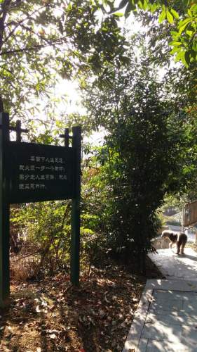 云溪广场旅行图片 3
