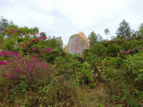 丽山森林公园旅行图片 2