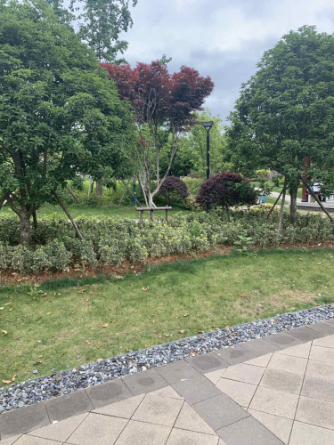秦塘公园旅行图片 2