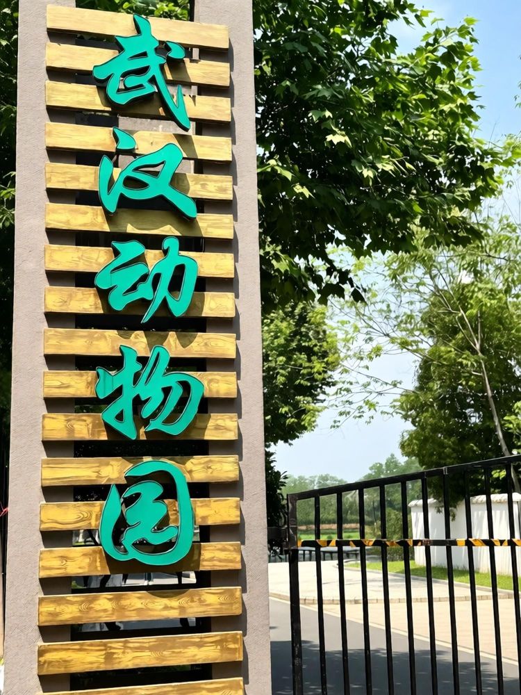 武汉动物园景点图片