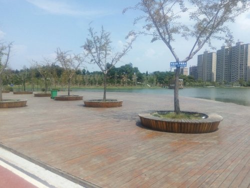江西宜丰新昌湖省级湿地公园旅行图片 1