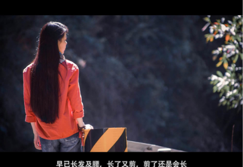 湖山森林公园旅行图片 1