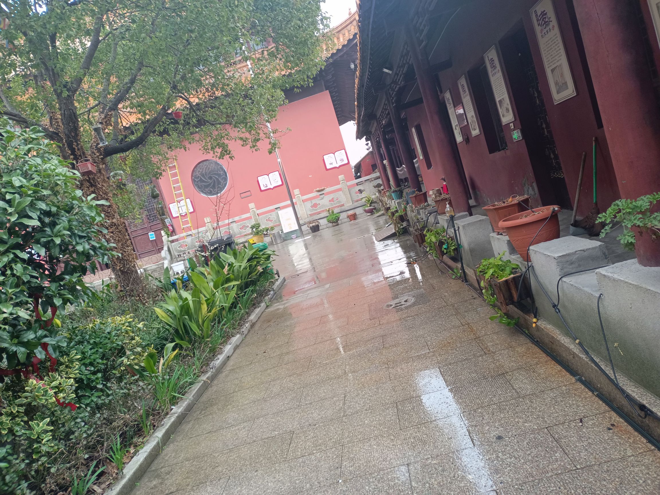嘉兴真实禅寺实景照片