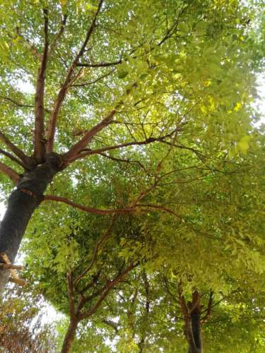 河滨公园旅行图片 1