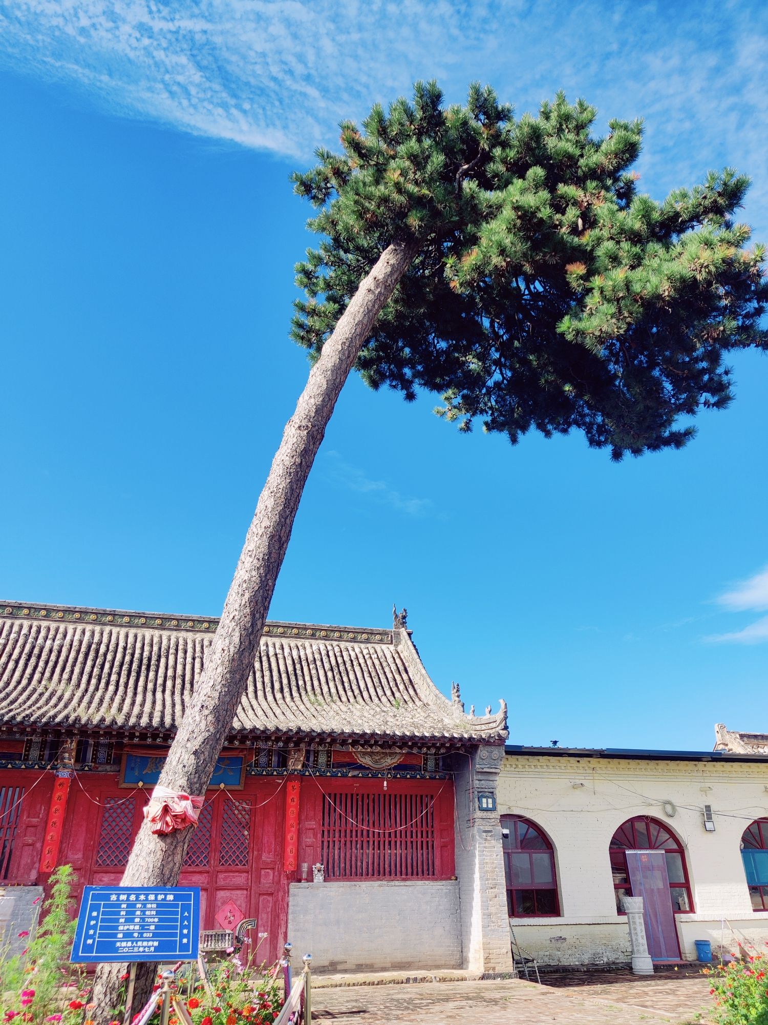 栖隐寺实景照片