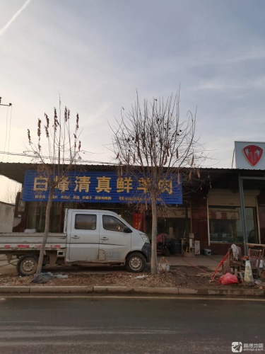 白峰清真鲜羊肉批发
