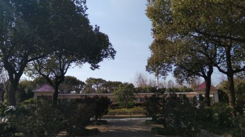 建德花园小公园旅行图片 1
