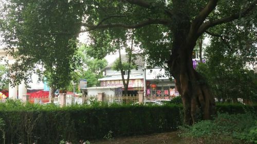 建强公园旅行图片 1