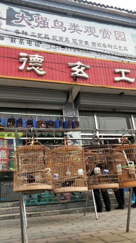 大强鸟类观赏园旅行图片 1