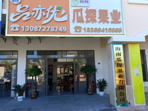 瓜探果业