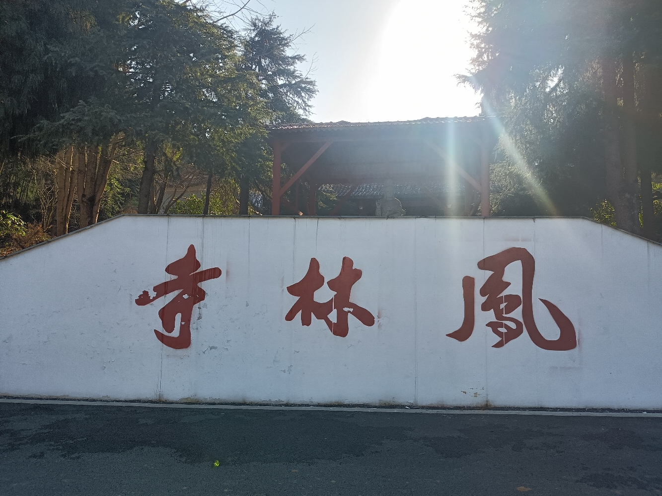 凤林寺实景照片