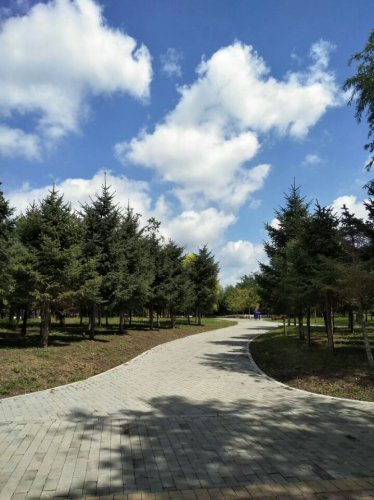地坤湖公园旅行图片 3