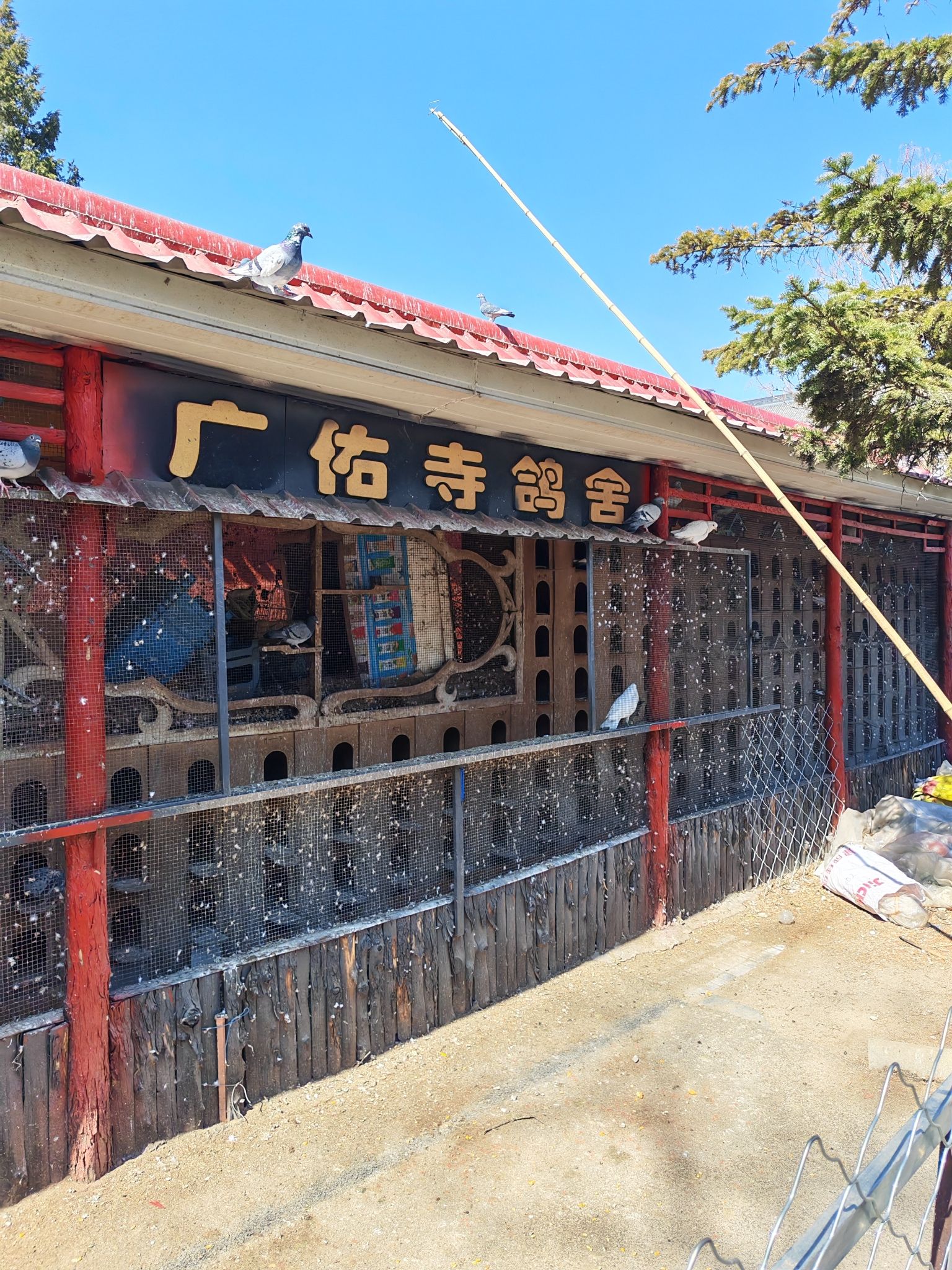 白塔公园-广佑寺鸽舍