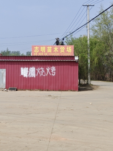 志明苗木货场