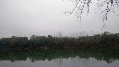 渠水国家湿地公园旅行图片 2